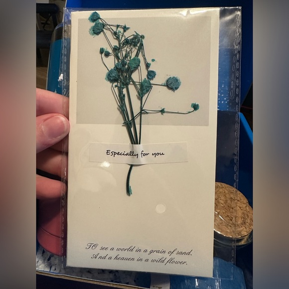 Bundle - Picture 5 of 5